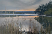 Andrew McPhail, Evening Light, Lake Illawarra, Acrylic on Canva